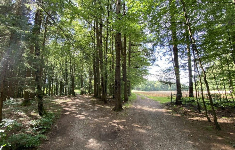 Do it or do it Not #1