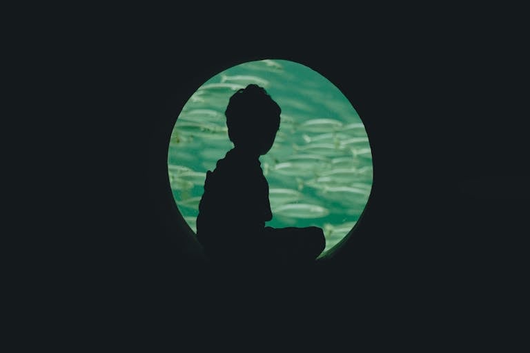 A silhouette of a child watching fish in an aquarium's circular window.