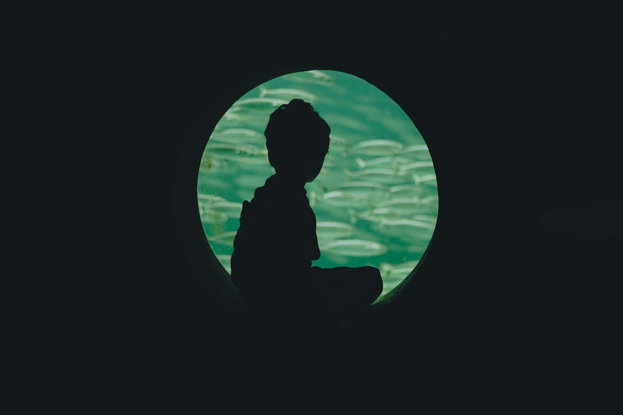 A silhouette of a child watching fish in an aquarium's circular window.