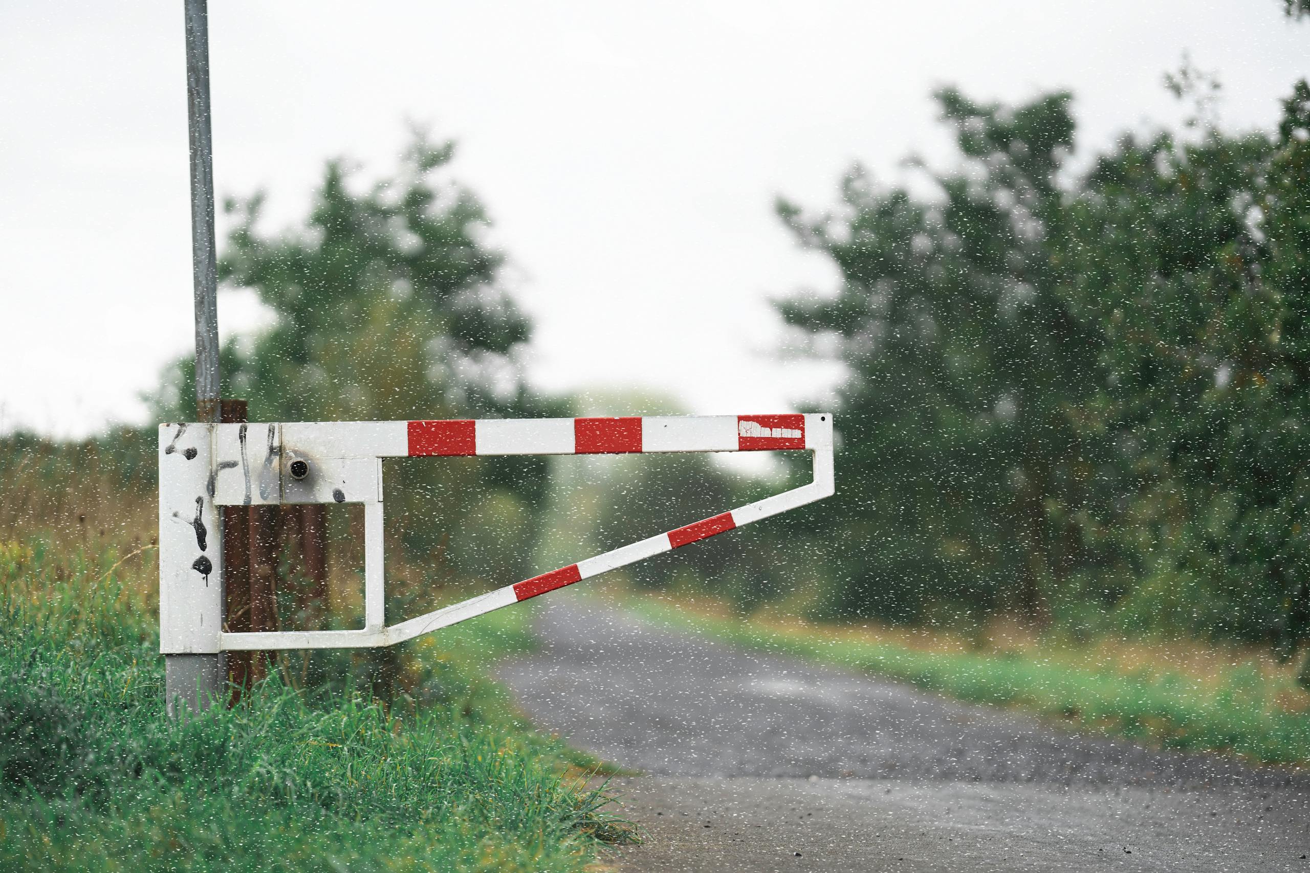 Old white barrier gate on a rural road surrounded by lush greenery, featuring a dynamic summer rain scene.